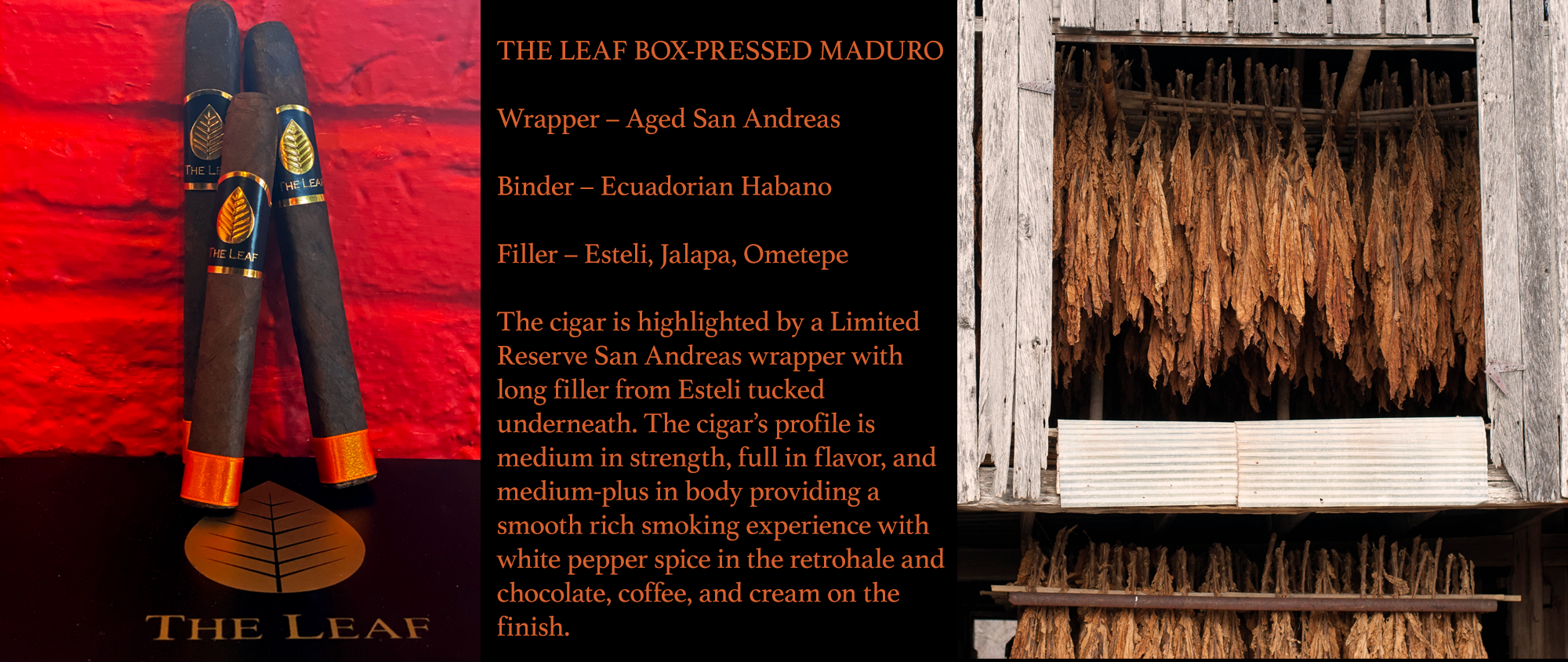 Leaf Maduro - Cigar World 